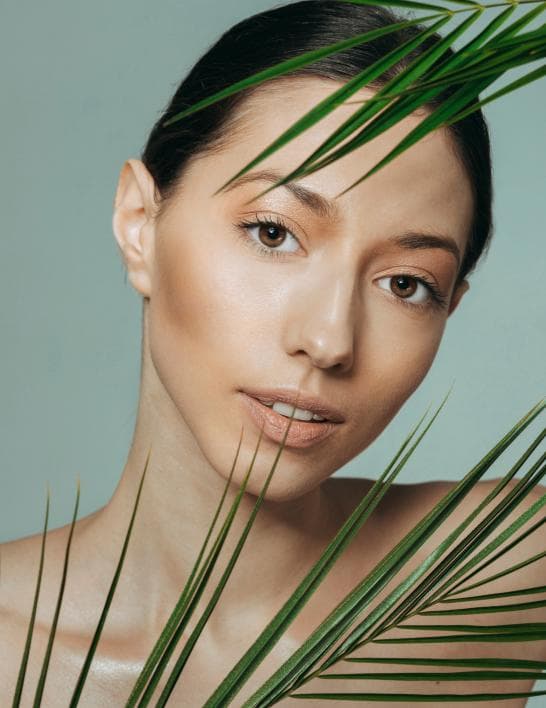 Aesthetic treatment model